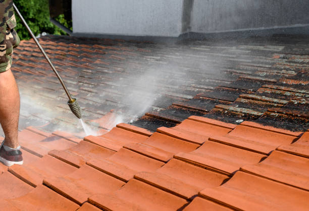 Best House Pressure Washing  in San Elizario, TX