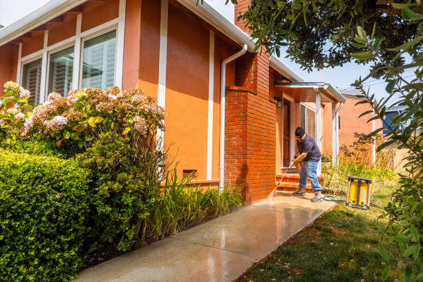 Best Pressure Washing Company Near Me  in San Elizario, TX